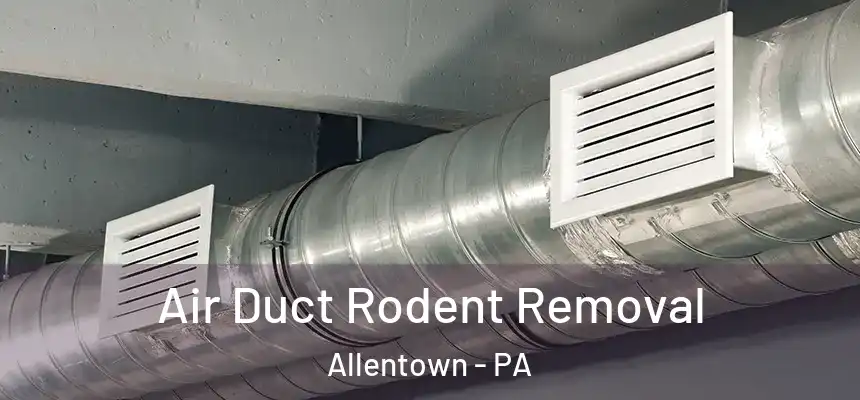 Air Duct Rodent Removal Allentown - PA
