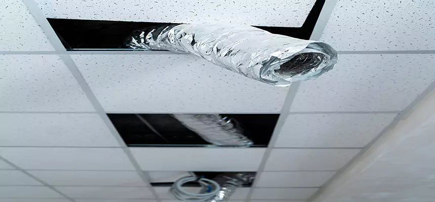 Affordable HVAC Sanitizing After Pest Removal in Allentown