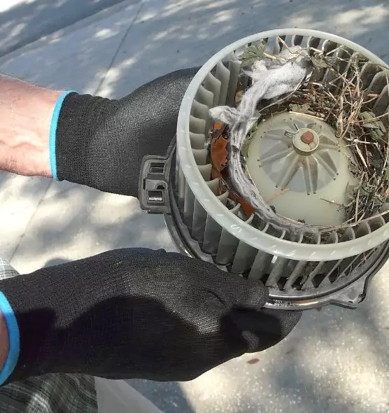 About Air Duct Mice Removal in Allentown, PA