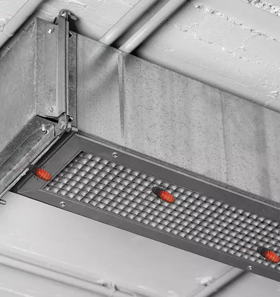 Affordable Insect Removal from Air Ducts in Allentown, PA