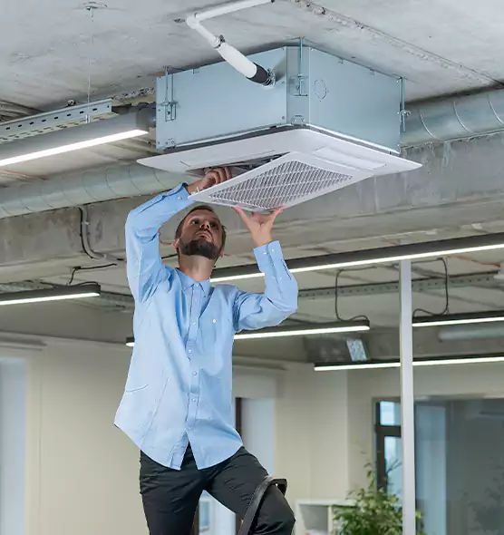 Advanced Rodent Droppings In Vents in Allentown, PA