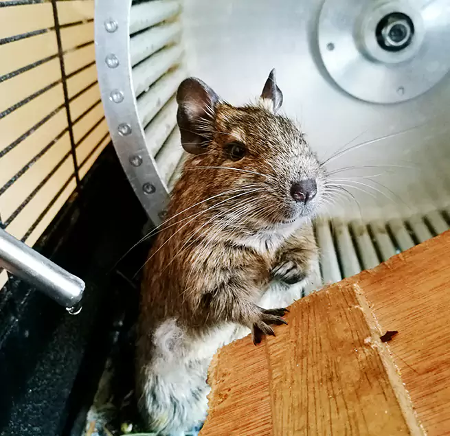 Why Homeowners & Businesses Trust Us Allentown, PA