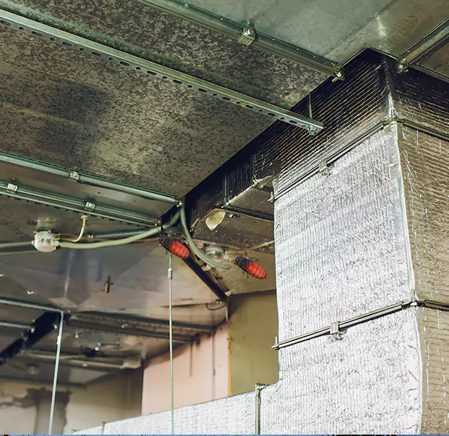 Why Homeowners & Businesses Trust Us Allentown, PA?